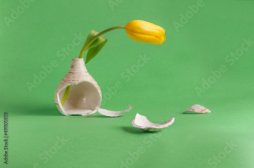 Broken vase with shards and a yellow tulip on a green background. Selective focus with copy space. natural light