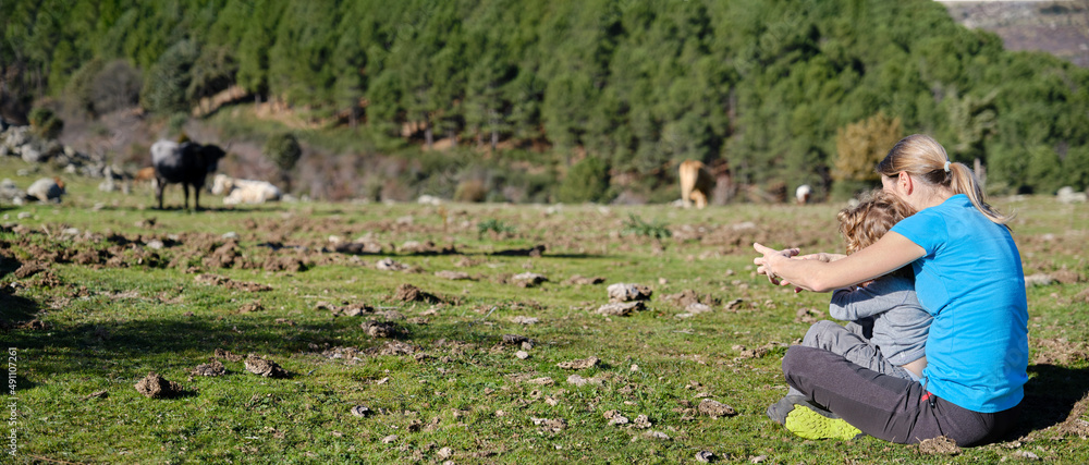Panoramic of a woman and son sitting near cows grazing in a green meadow.