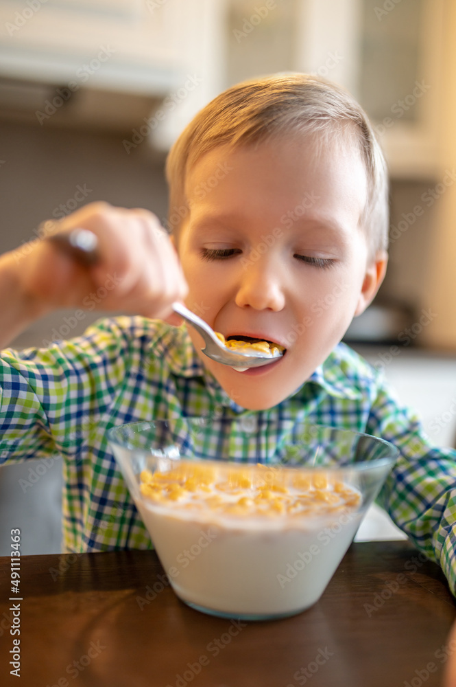 Little boy taking his breakfast in the kitchen Little boy taking his breakfast in the kitchen