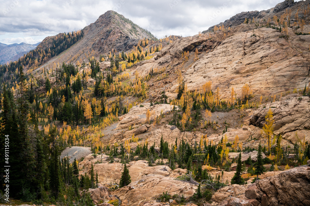 Fototapeta premium Scenic alpine basin with golden alpine larches in the fall