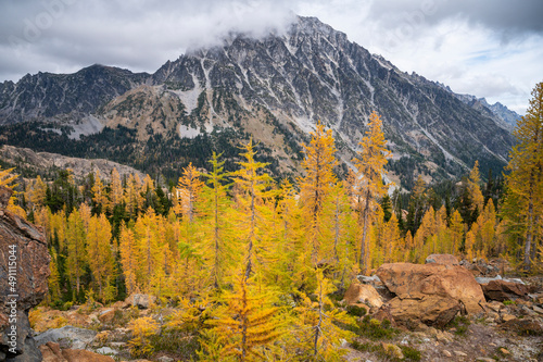 Alpine Larches and Mount Stuart in The Alpine Lakes Wilderness