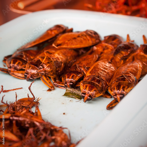 Fried insects on plate