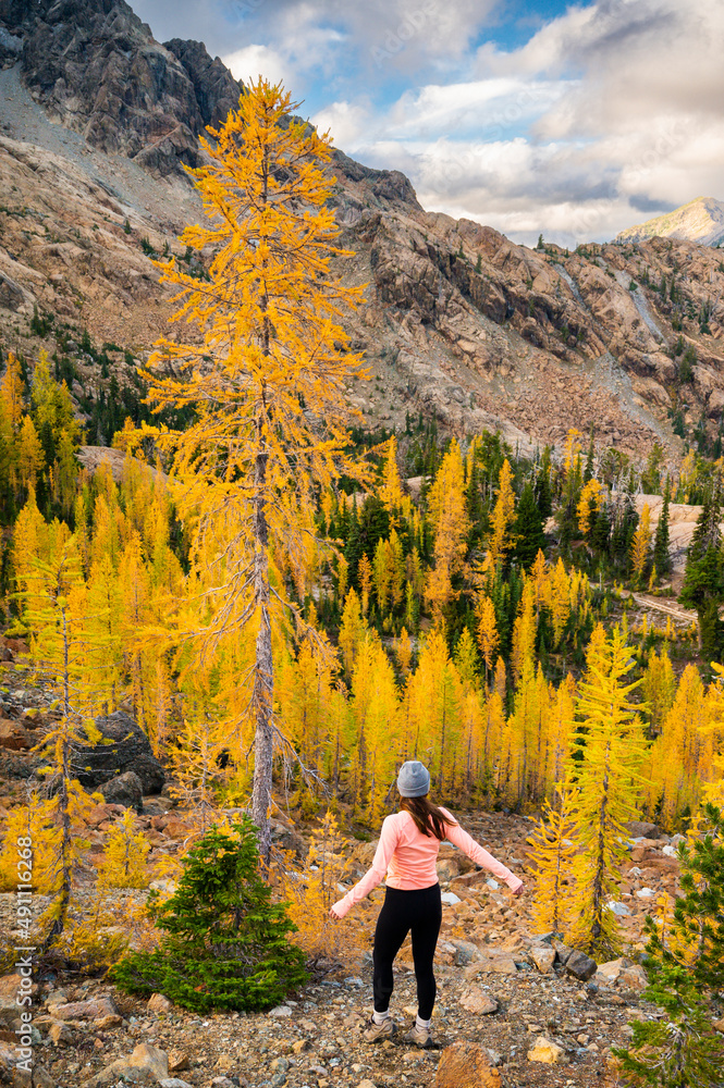 Female posing in a basin of larches in the alpine lakes wilderness Female posing in a basin of larches in the alpine lakes wilderness