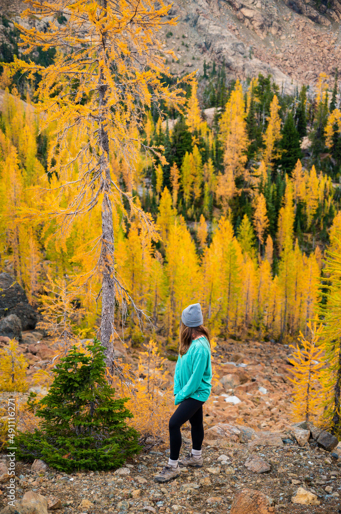Female posing in a basin of larches in the alpine lakes wilderness Female posing in a basin of larches in the alpine lakes wilderness