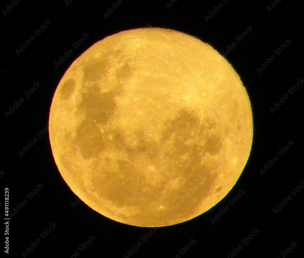 Fototapeta premium Moon
