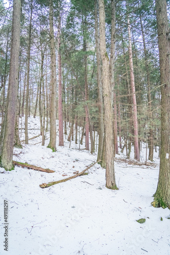 Beautiful Watkins Glen State Park Winter Views photo