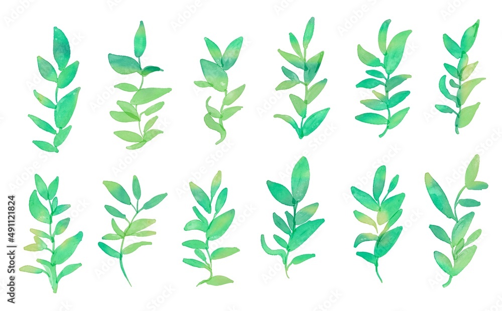 水彩画 水彩で描いた草木のフレーム用イラスト グレデーションカラーの草木イラスト ハーブのイラストセット Watercolor Painting Watercolor Illustration Of Plants And Trees For Frames Illustration Of Plants And Trees In Gradient Colors Herb