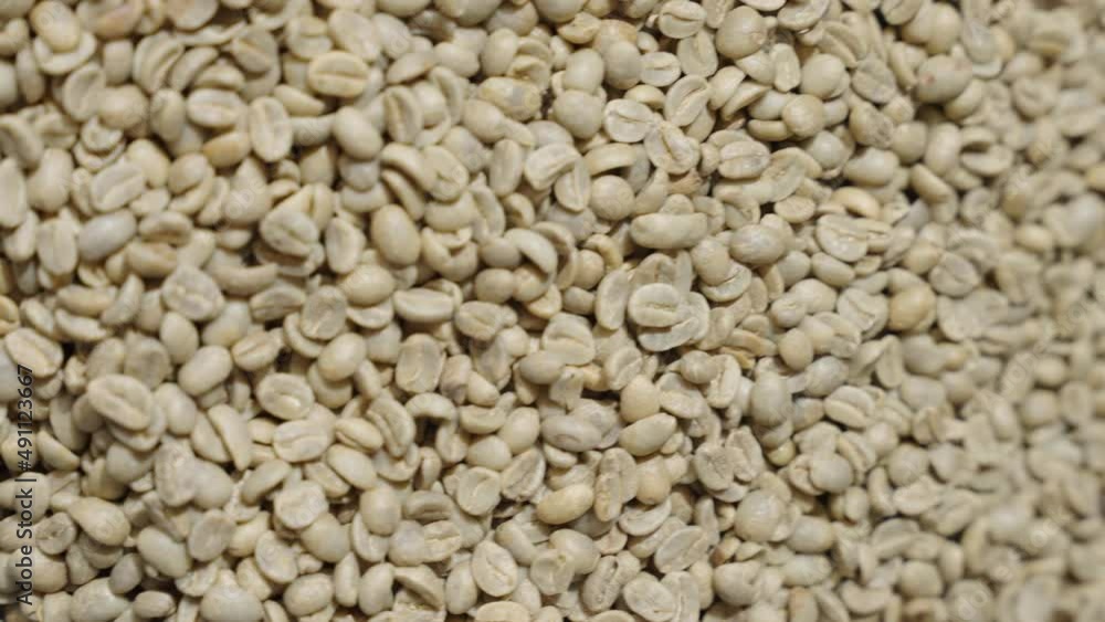 Raw Coffee Beans falling on bunch of Coffee Beans Slow Motion Top Down 3 Raw Coffee Beans falling on bunch of Coffee Beans Slow Motion Top Down 3