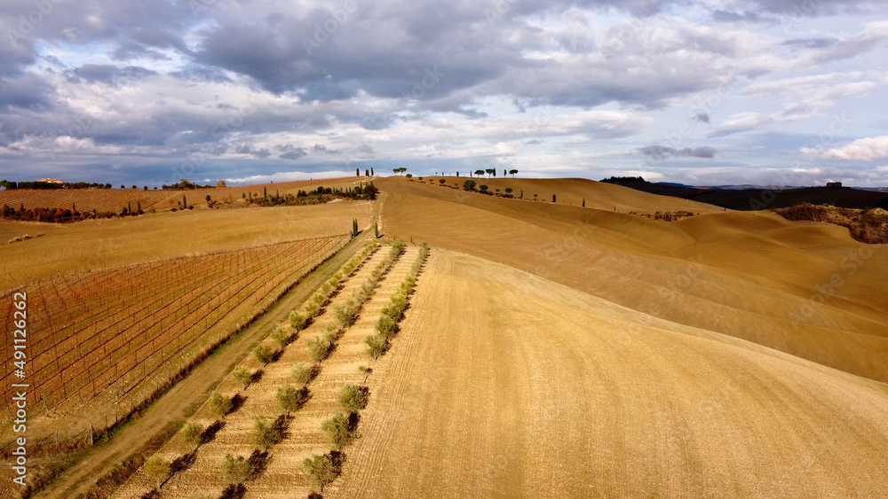 Wonderful Tuscan fields in autumn - beautiful Tuscany Italy - travel photography Wonderful Tuscan fields in autumn - beautiful Tuscany Italy - travel photography