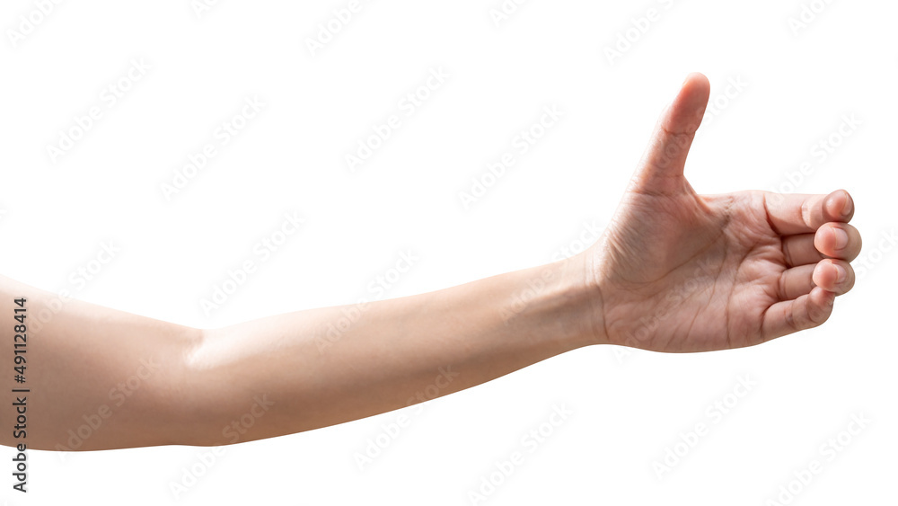 isolated of woman hand holding something like a bottle or can. isolated of woman hand holding something like a bottle or can.