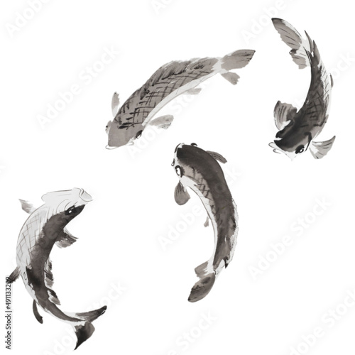 Collection of fish (carps koi painted with ink on xuan paper, oriental style). Texture of paper and brush strokes - intact. Background`s been removed.
 photo