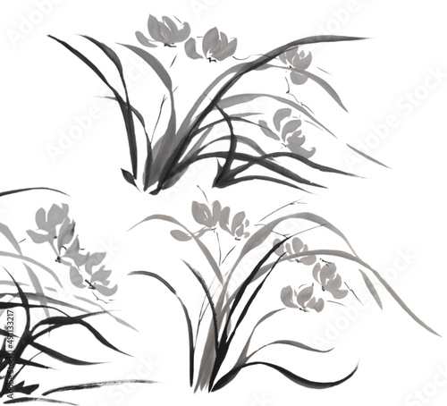 Collections of classic Chinese orchids (painted with ink on xuan paper, oriental style). Texture of paper and brush strokes - intact. Background`s been removed
