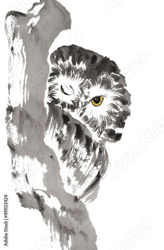 An owl winking and peeking from behind a tree trunk (painted with ink on xuan paper, oriental style) Texture of paper and brush strokes - intact. Background has been removed.