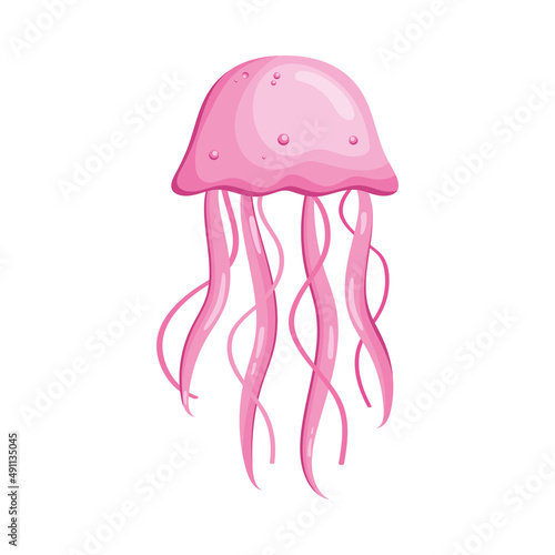 pink jellyfish marine life