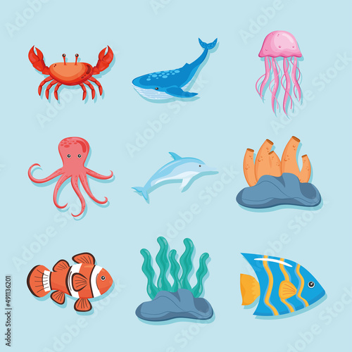 nine marine life icons