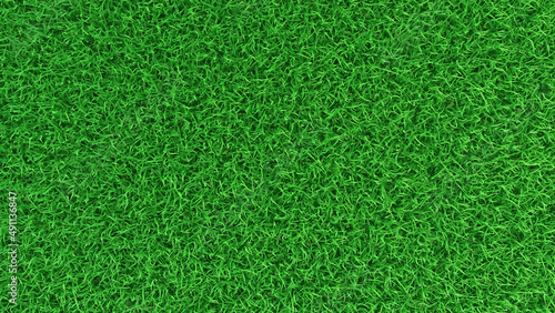 3D Green grass field background top view empty backyard for sport game or garden decoration
