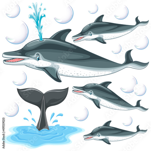 Dolphin with bubbles on white background