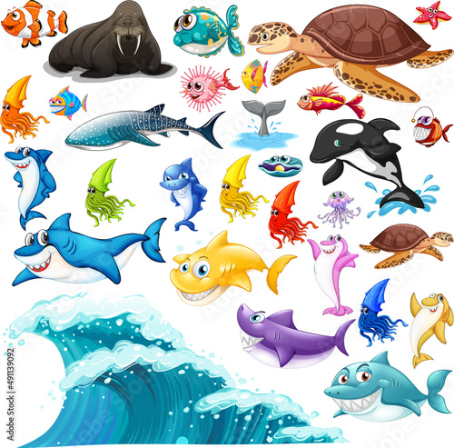 Different types of sea animals