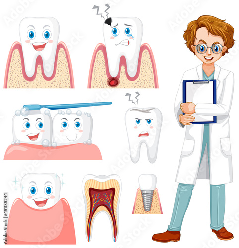Set of all types of teeth on white background