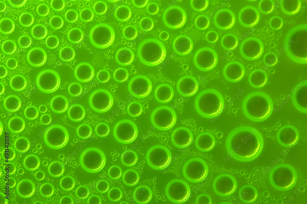  Water bubbles green background.wallpaper phone.Abstract background with round drops in green tones. Water bubbles and drops texture. green circles pattern 