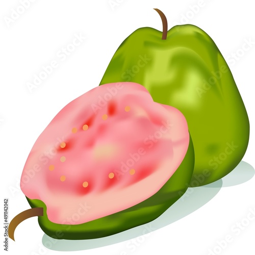 Fresh and Tasty Guava Fruit Vector Illustration