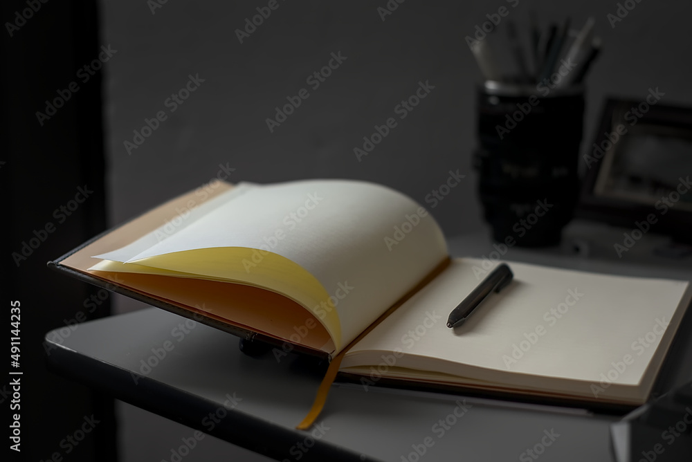 Naklejka premium notebook and pen