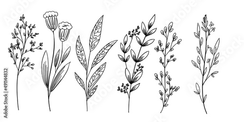 Set of hand drawn floral elements for design. Floral elements for design. Vector isolated.  Line object collection with hand, magnolia, rose, lavender, jasmine, leaf, flower, sunflower