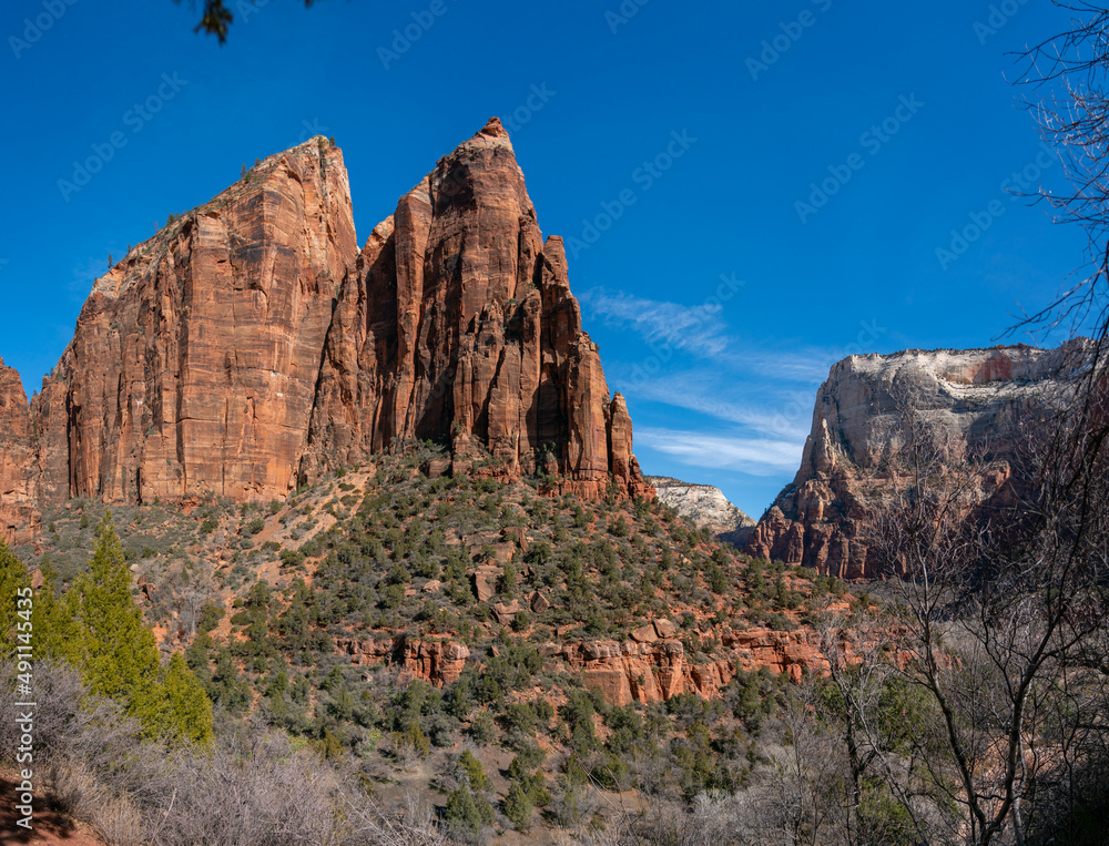 Fototapeta premium View of Zion Famous Peaks With Clear Blue Skies