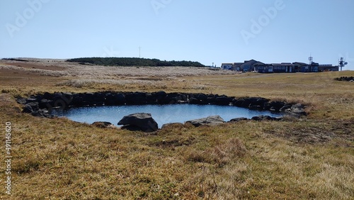 A small pond of interesting shapes and colors.