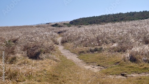 The hill where silver grass shakes beautifully.