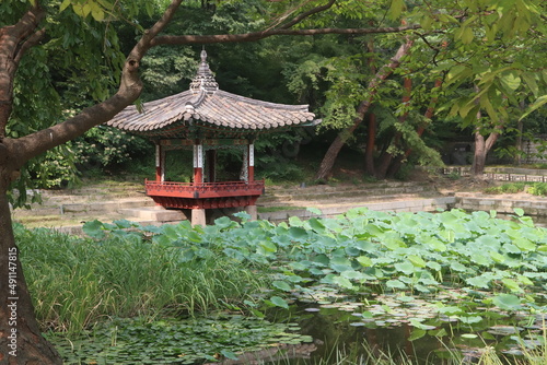 Aeryeonji Pond, Changdeokgung Palace