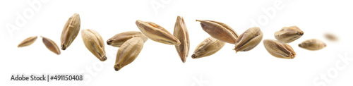 Barley malt grains levitate on a white background © butenkow