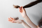 Woman's hands hold the tips of the brunette hair and shows a bunch of fallen hair. Gray background. Concept of alopecia and hair problems