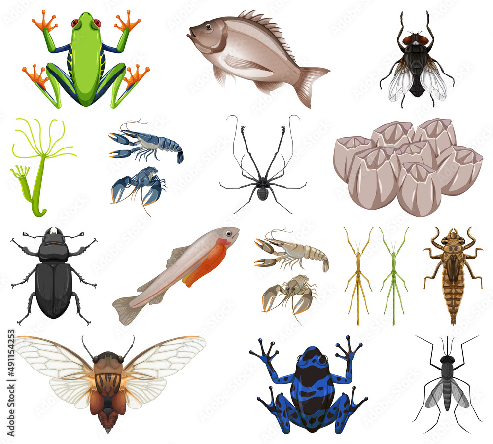 Obraz premium Different kinds of insects and animals on white background