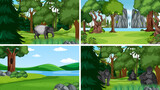 Four scenes with wild animals in forest