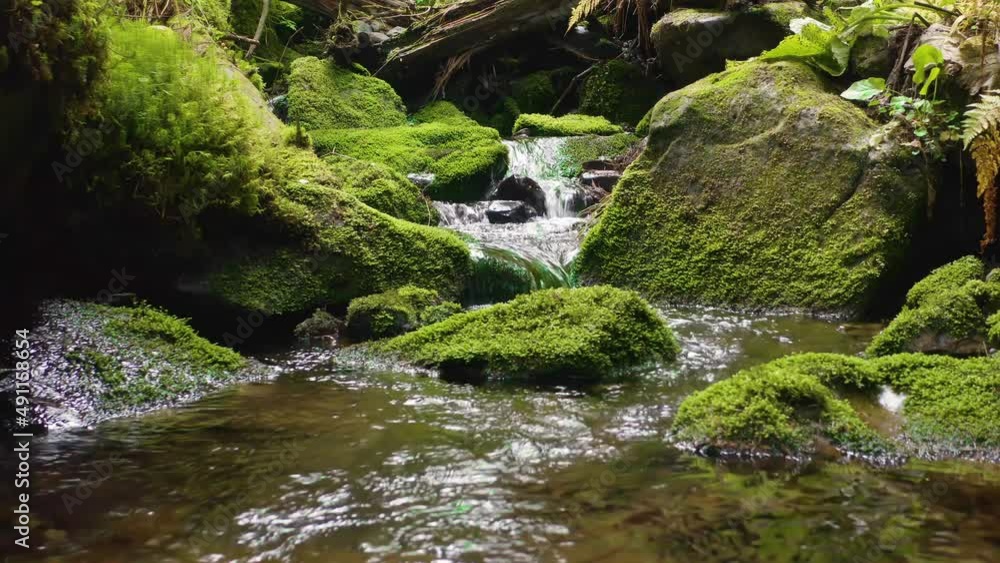 Mountain Stream flowing under a gentle misty morning rays of sunlight on the old stones with bright green moss and lichen in the wild beech forest. Clean water is lit with light flares
Mountain Stream flowing under a gentle misty morning rays of sunlight on the old stones with bright green moss and lichen in the wild beech forest. Clean water is lit with light flares