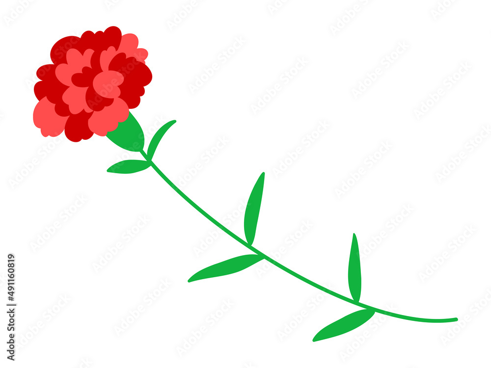 母の日 カーネーション 一輪 花 プレゼント 贈り物 ギフト 記念日 イベント 赤 植物 自然 感謝 母の日 カーネーション 一輪 花 プレゼント 贈り物 ギフト 記念日 イベント 赤 植物 自然 感謝