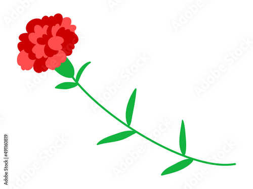 母の日　カーネーション　一輪　花　プレゼント　贈り物　ギフト　記念日　イベント　赤　植物　自然　感謝