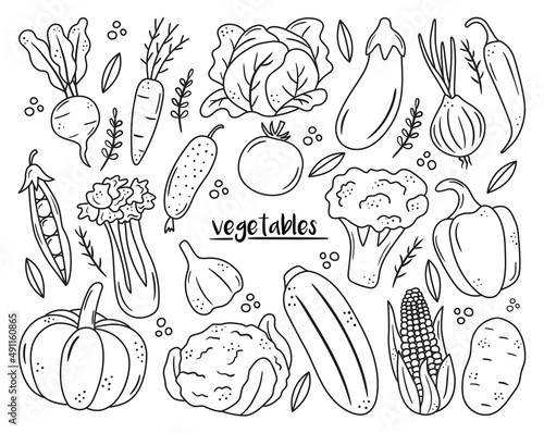 Set of black outline vegetable icons. Hand drawn drawings of carrot, cabbage, broccoli, corn, pumpkin. Sketch food illustration. Doodle silhouettes of harvest elements