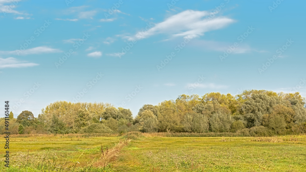 Autumn landscape with meadow and trees under a cloudy sky in bourgoyen nature reserve, Ghent, Flanders, Belgium Autumn landscape with meadow and trees under a cloudy sky in bourgoyen nature reserve, Ghent, Flanders, Belgium