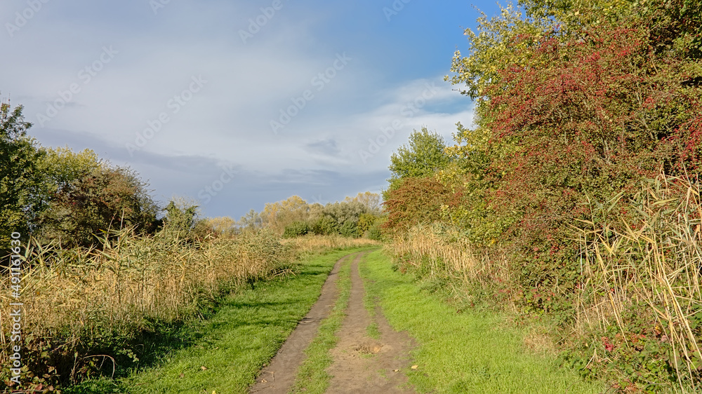 Hiking trail through a meadow with trees and shrubs in Bourgoyen nature reserve, Ghent, Flanders, Belgium Hiking trail through a meadow with trees and shrubs in Bourgoyen nature reserve, Ghent, Flanders, Belgium