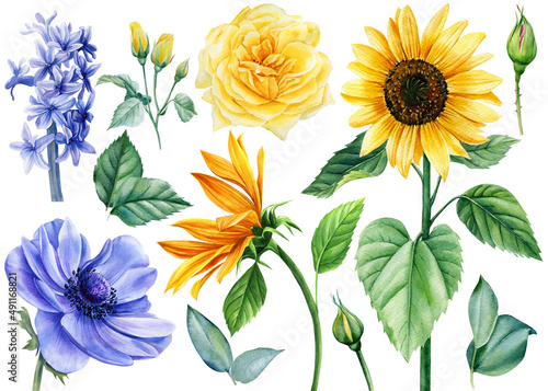 Fotografie, Obraz Yellow and blue flowers