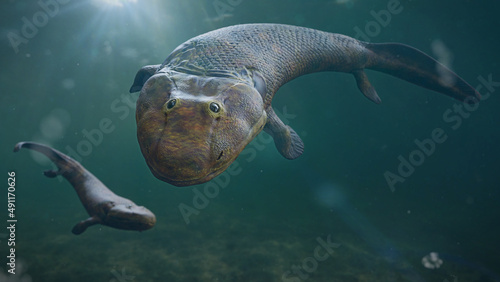 Canvas Print Tiktaalik, extinct legged fish, the evolution of four-legged animals