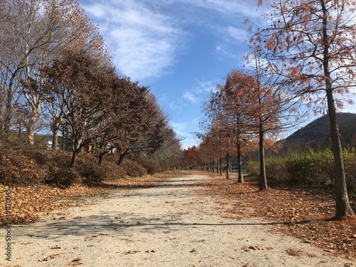 담양 관방제림
