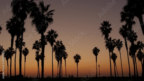 Orange and purple sky  silhouettes of palm trees on beach at sunset  California coast  USA. Beachfront park at sundown in San Diego  Mission beach. People walking and birds flying in evening twilight.