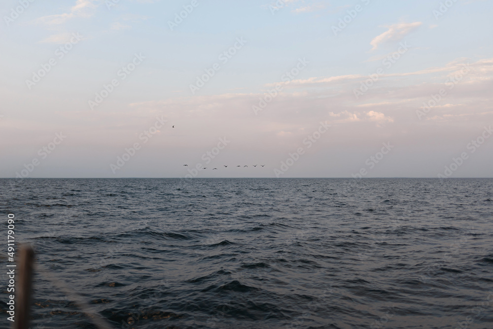 Obraz premium The landscape of the sea with wild birds in the distance