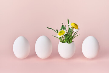 Easter creative concept. Green sprouts and spring flowers in white egg. Group of four easter eggs. Easter card