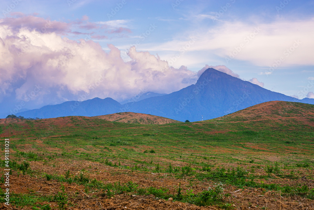 Rubber plantation farming area in the south of Thailand, Rubber plantation farming area in the south of Thailand,