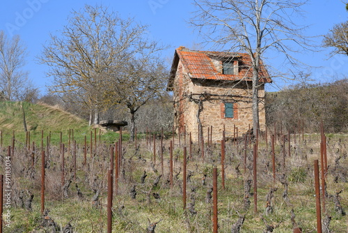 Maison de vigne sur un coteau prêt du petit village d'Orsonette dans le puy de dôme par une superbe journée de printemps