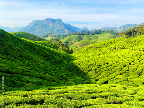 Munnar Kerala, Munnar is a town in the Western Ghats mountain range in India’s Kerala state. © Nivansa